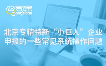 北京专精特新“小巨人”企业申报的一些常见系统操作问题