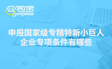 申报国家级专精特新小巨人企业专项条件有哪些