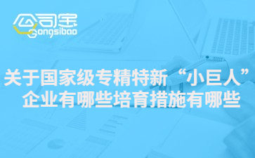 关于国家级专精特新“小巨人”企业有哪些培育措施有哪些