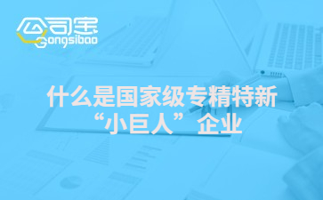 什么是國家級(jí)專精特新“小巨人”企業(yè) 有哪些優(yōu)惠政策