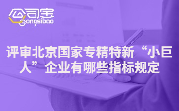 評審北京國家專精特新“小巨人”企業(yè)有哪些指標規(guī)定