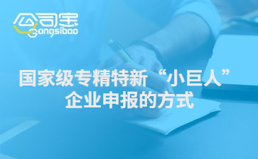 国家级专精特新“小巨人”企业申报的方式 有哪些材料