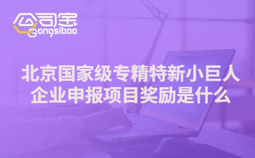 北京国家级专精特新小巨人企业申报项目奖励是什么