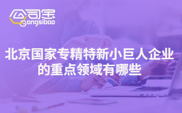 北京國家專精特新小巨人企業(yè)的重點領域有哪些？評審的指標是什么