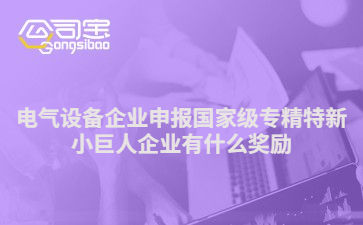 电气设备企业申报国家级专精特新小巨人企业有什么奖励