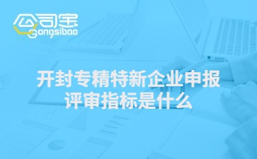 開封專精特新企業(yè)申報評審指標是什么