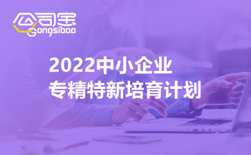 2022中小企业专精特新培育计划