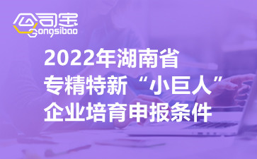 2022年湖南省专精特新“小巨人”企业培育申报条件