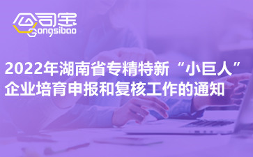 2022年湖南省专精特新“小巨人”企业培育申报和复核工作的通知