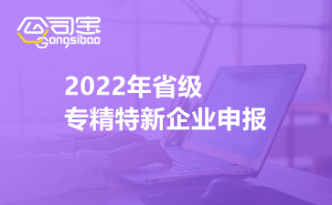 2022年省级专精特新企业申报