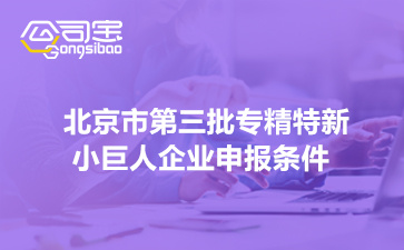 2022年北京市第三批专精特新小巨人企业申报条件(申报截止时间)