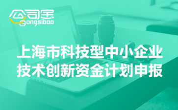 2022年上海市科技型中小企业技术创新资金计划申报指南(申报条件及要求)