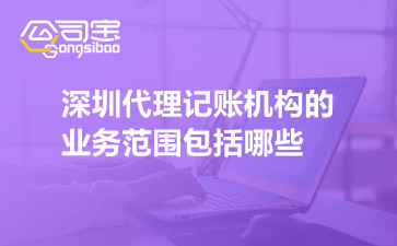 深圳代理记账机构的业务范围包括哪些