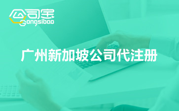 广州新加坡公司代注册