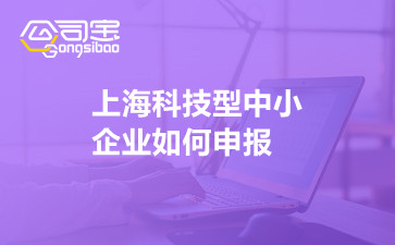 上海科技型中小企业如何申报