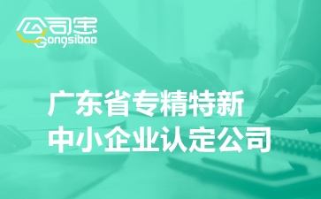广东省专精特新中小企业认定公司(2022年到期复核通过企业名单)