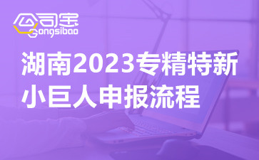 湖南2023专精特新小巨人申报流程