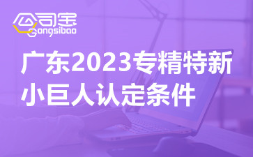广东2023专精特新小巨人认定条件