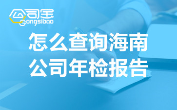 怎么查询海南公司年检报告