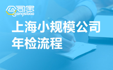 上海小规模公司年检流程