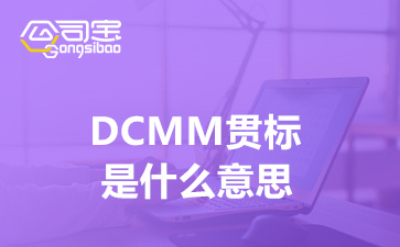DCMM贯标是什么意思(DCMM数据管理能力成熟度评估有什么用)