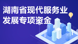 湖南省现代服务业发展专项资金,服务业资金项目申报