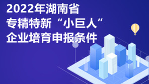 2022年湖南省专精特新“小巨人”企业培育申报条件