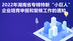 2022年湖南省专精特新“小巨人”企业培育申报和复核工作的通知