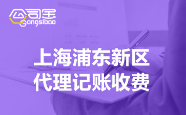 上海浦东新区代理记账收费,上海代理记账公司服务范围