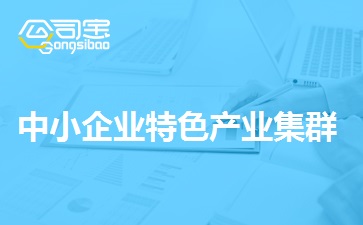 中小企业特色产业集群