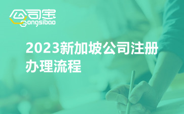 2023新加坡公司注册办理流程,新加坡公司注册代办平台