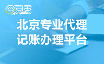 北京专业代理记账办理平台,代理记账一对一高效服务
