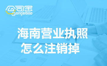 海南营业执照怎么注销掉,海南营业执照注销多少钱