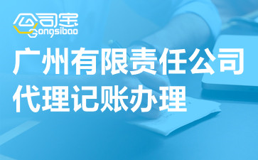 广州有限责任公司代理记账办理,代理记账公司服务内容